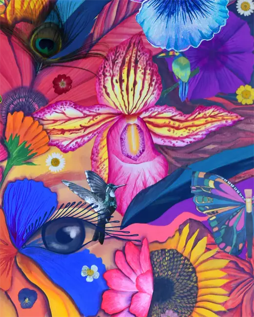 orquidea-de-los-andes-ficfusa-florece